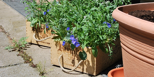 Gartengestaltung mit holzkisten