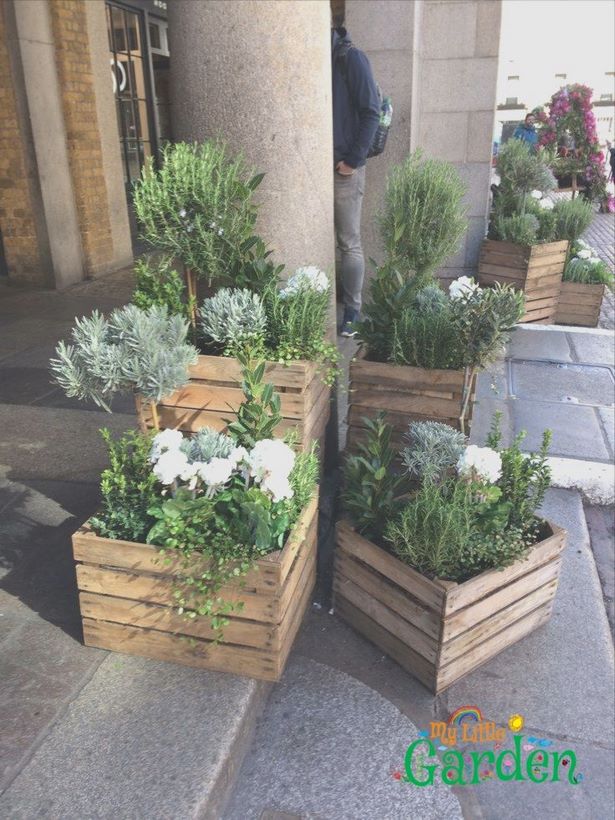 Gartengestaltung mit holzkisten