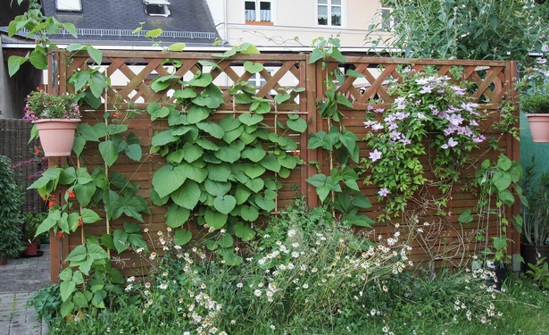 Garten gestalten sichtschutz