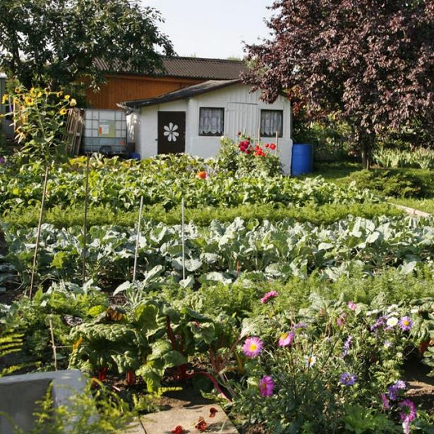 Schrebergarten gestalten ideen