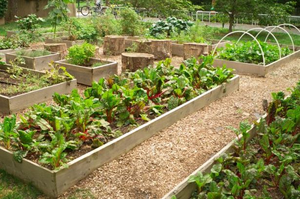 Schrebergarten gestalten ideen