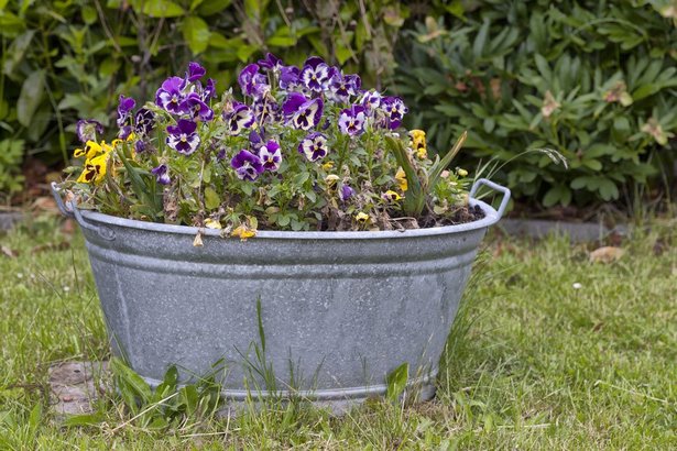 Alter schrank im garten