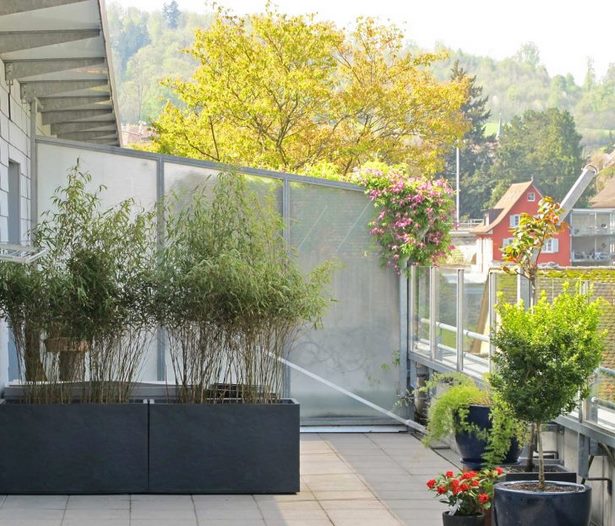 Ideen für balkon sichtschutz