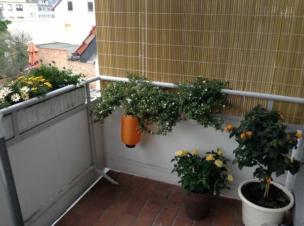 Ideen für sichtschutz balkon