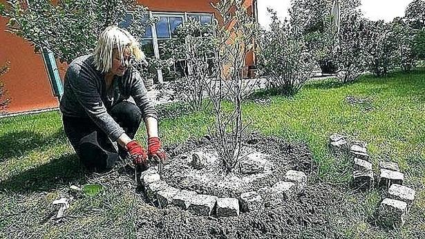 Garten gestalten mit steinen