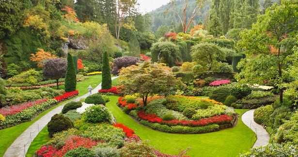 Garten mit blumen gestalten