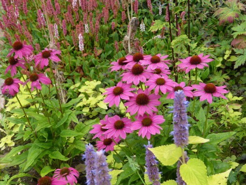 Garten neu bepflanzen