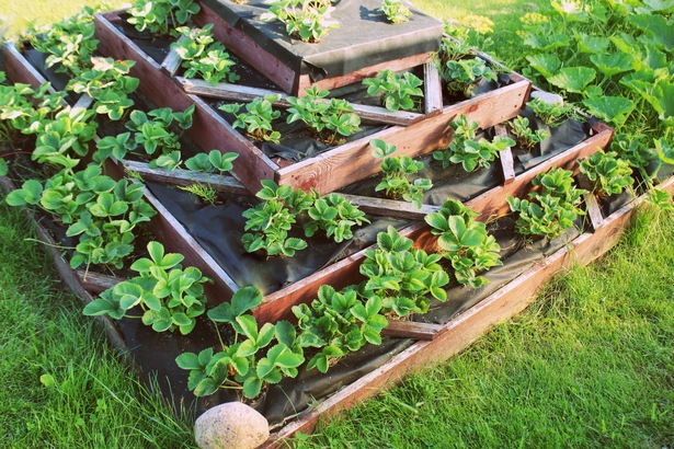 Garten pflegeleicht anlegen