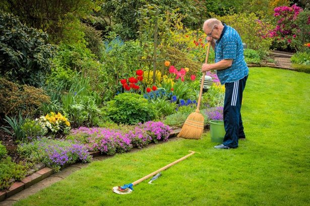 Gartenbeet anlegen beispiele