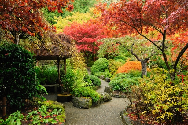Gartengestaltung japanischer garten