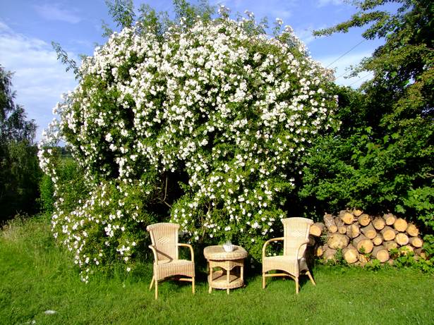 Ideen für den garten kreativ