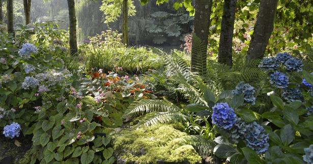 Schattige ecken im garten gestalten