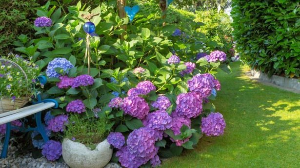 Schattige ecken im garten gestalten