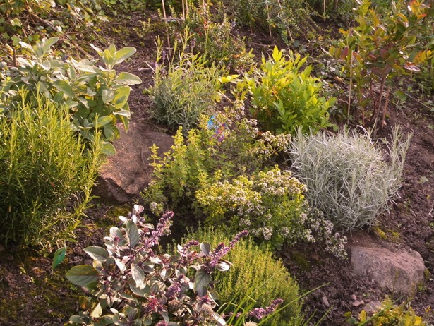 Schrebergarten gestaltungsideen