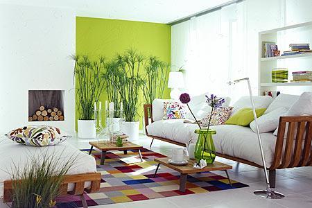 Wohnzimmer farbige wand