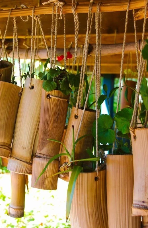 Bambus ideen garten