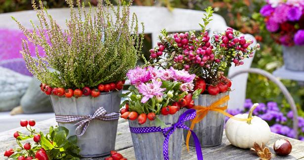 Balkon gestalten herbst