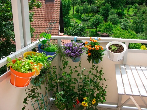 Balkon mit pflanzen gestalten