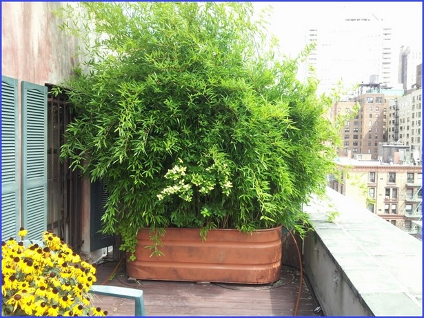 Balkon pflanzen deko