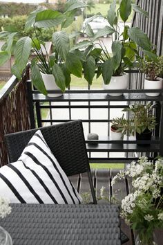 Balkon pflanzen deko