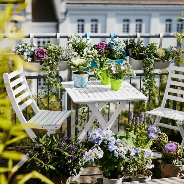 Balkon sichtschutz blumen