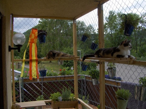 Katzen balkon ideen