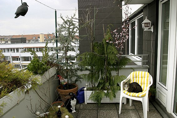 Katzen balkon ideen