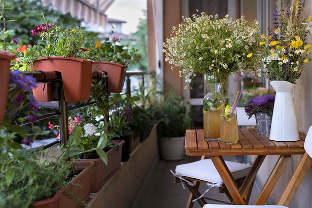 Südbalkon blumen