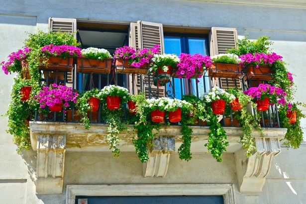 Südbalkon blumen