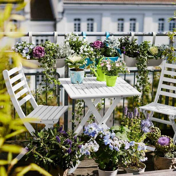 Südbalkon blumen