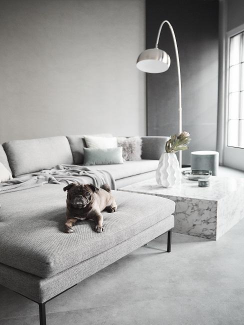 Wohnzimmer wand grau