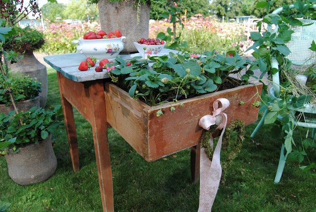 Alte möbel im garten