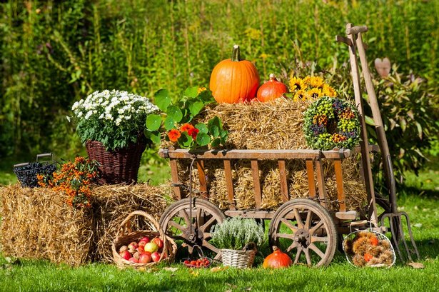 Deko garten herbst