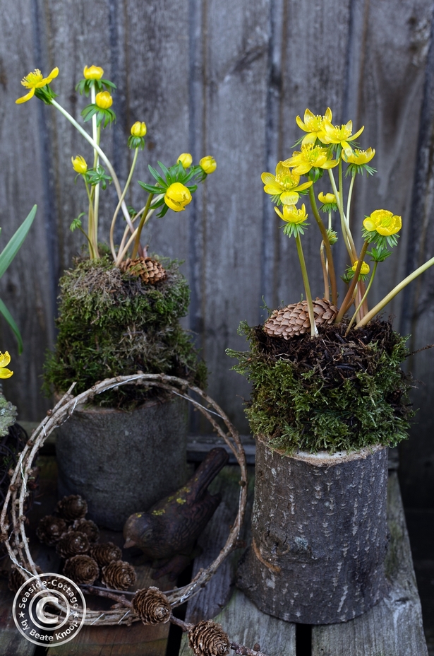 Gartendeko aus naturmaterialien