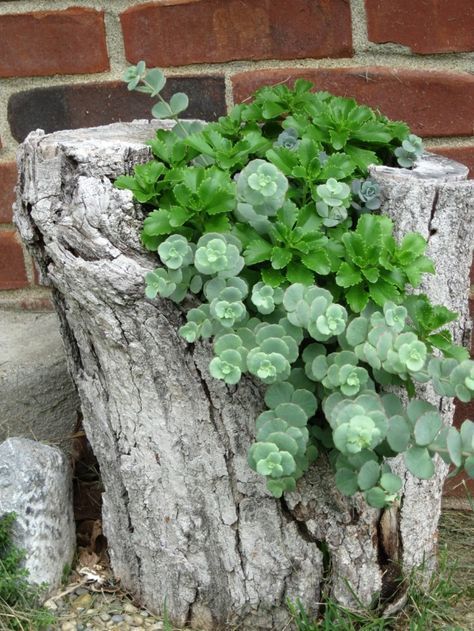 Gartendeko basteln naturmaterialien