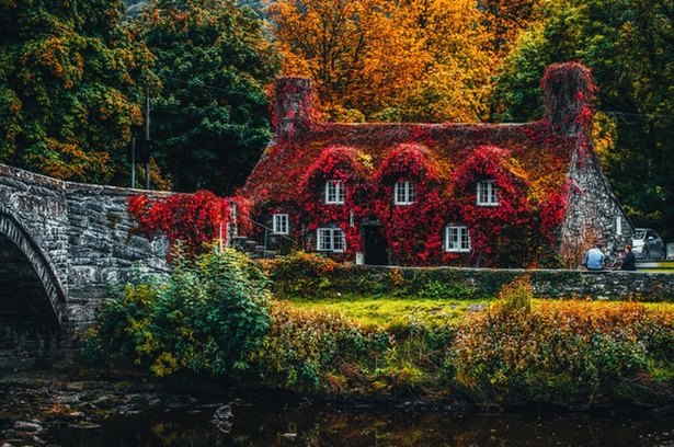 Gartendeko landhausstil selber machen