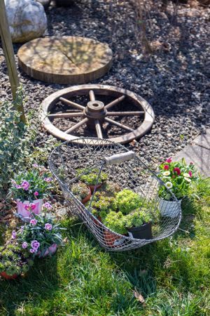 Gartendeko mit altem wagenrad