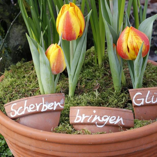 Mein kleiner garten dekoration und kreatives