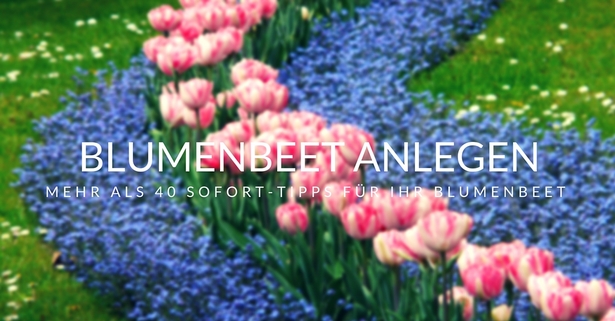 Blumenbeet gestalten ideen