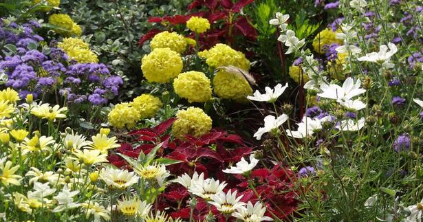 Garten gestalten günstig