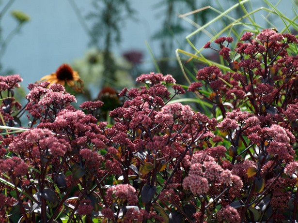 Gartenbilder gestaltung