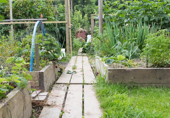 Gartengestaltung tipps und ideen