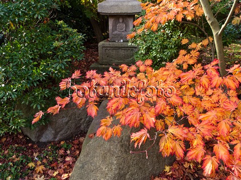 Japanische gärten bildergalerie