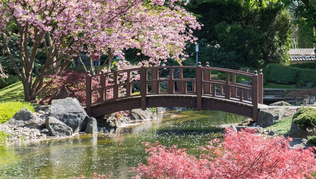 Japanischer garten