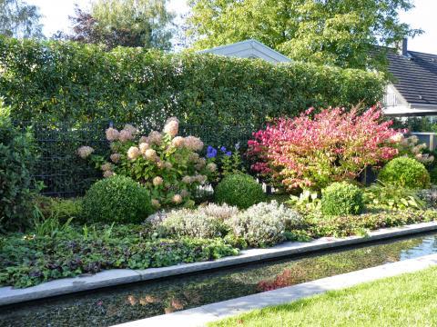 Kleinen garten neu gestalten