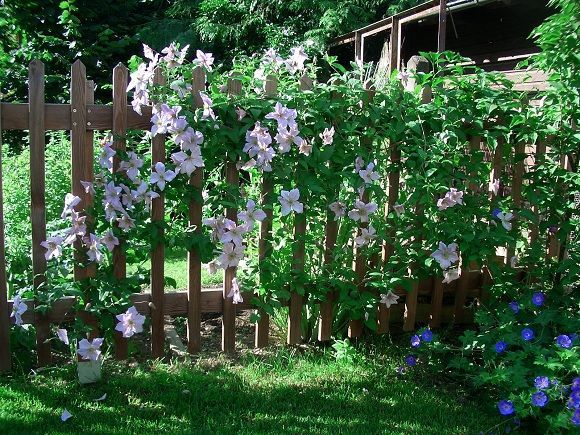 Mein schöner garten gartengestaltung