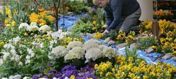 Schöner garten ideen