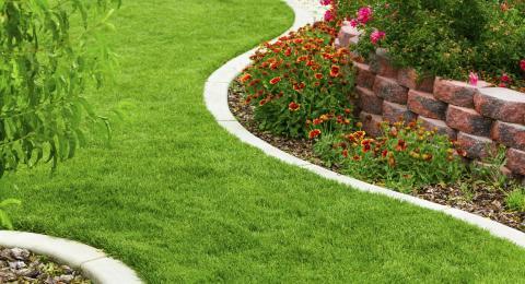 Tipps zur gartengestaltung