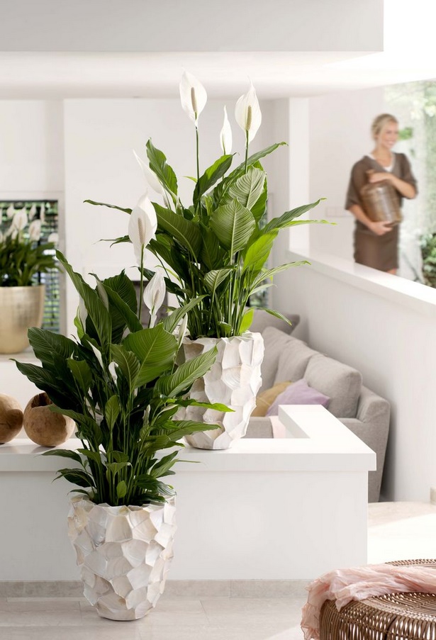 Pflanzen dekoration wohnzimmer