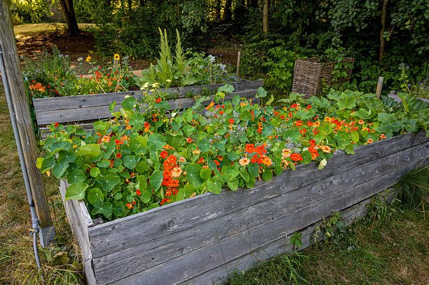 Selbstgemachtes für den garten